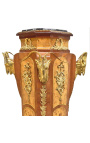 Napoleon III stil kolonne med rammer og gull bronzes - 8