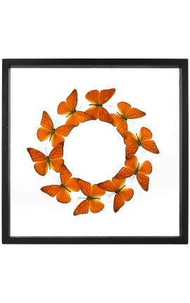 Dekorativer Rahmen mit Schmetterlingen rund "Apps Nero Galba"