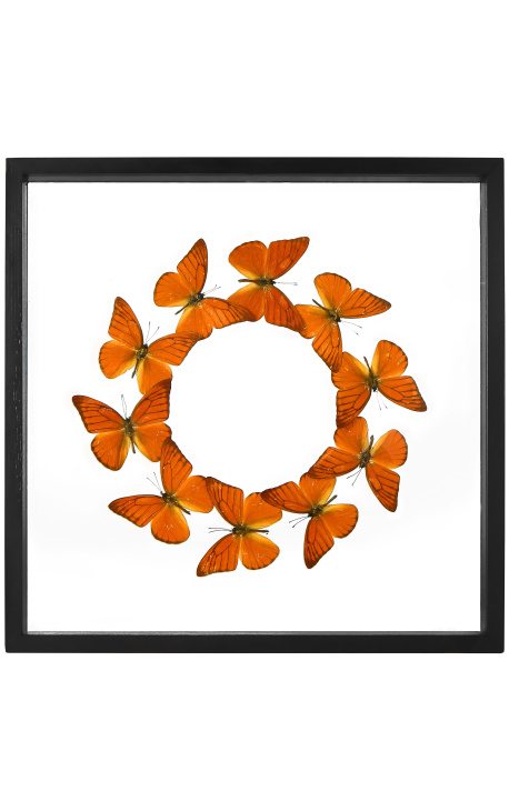 Moldura decorativa com rodada de borboletas "Appias Nero Galba"