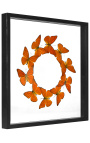 Decorative frame with butterflies round "Appias Nero Galba"