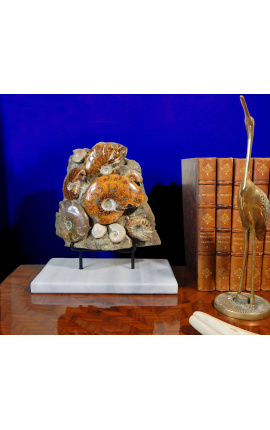 Grand bloc d&#039;ammonites sur support en marbre blanc (Bloc 1)
