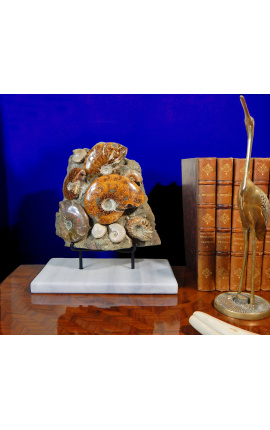 Large block of ammonites on white marble support (Bloc 1)