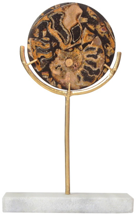 Disc negre amb ammonites sobre suport daurat i marbre blanc (model petit)