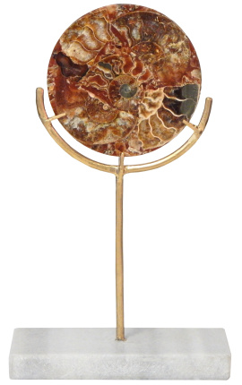 Disque marron avec ammonites sur support doré et marbre blanc (Petit modèle)