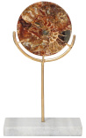 Brown disk with ammonites on a gilded base and white marble (Small model)