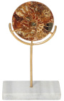 Disque marron avec ammonites sur support doré et marbre blanc (Petit modèle)