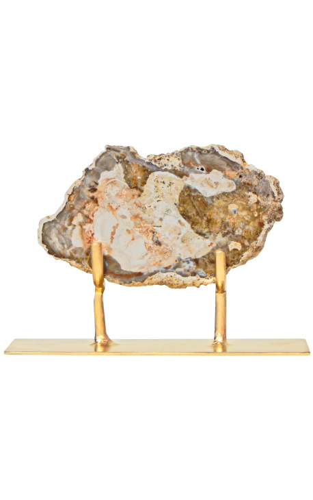 Fossilized wood on a gold metal stand Model 2