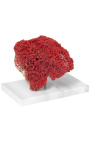 Coral Tubipora Musica mounted on white marble base