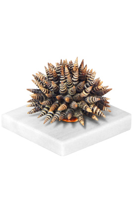 Paperweight with "Batillaria" shells and white marble