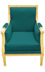 Didelis Bergère kėdė Liudviko XVI stiliaus žalio sviesto ir aukso medžio