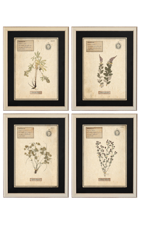 Sada 4 herbárov s béžovým rámom (séria 1)