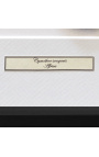 Telaio decorativo con due farfalle "Cimothoe Sangaris"