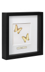 Marco decorativo con dos mariposas "Cyrestis Camillus"