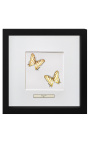 Decorative frame with two butterflies "Cyrestis Camillus"