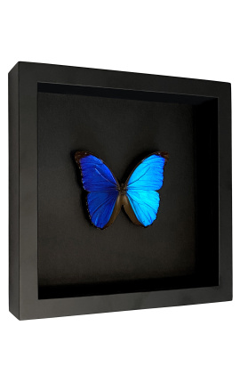 Cadre décoratif sur fond noir avec papillon &quot;Morpho Menelaus&quot;
