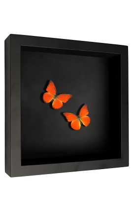 Cadre décoratif sur fond noir avec papillons &quot;Appias Nero&quot;