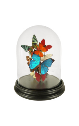 Бабочки (4) «Papilio Blumei» под стеклянным куполом