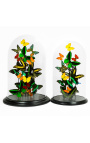 Exotic butterflies with several varieties of butterflies under glass dome (XL)