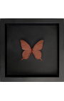 Decorative frame on black background with copper-colored "Papilio Blumei" butterfly
