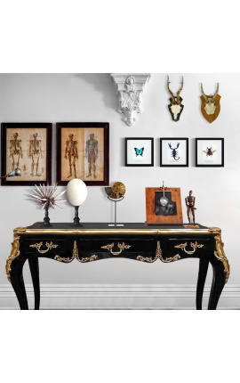 Decorative frame with a scorpion &quot;Heterometrus Spinifer&quot;
