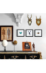 Wall decoration of deer hunting trophy mounted on wood 