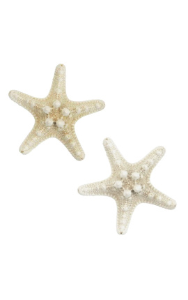 Starfish bajo globo de cristal