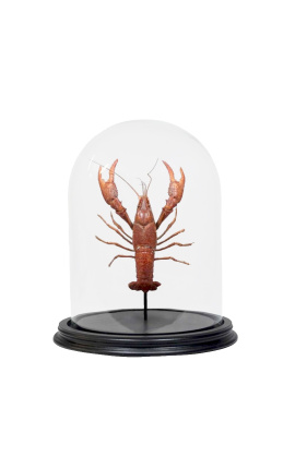 Louisiana swamp crayfish under a glass globe