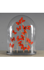 Červené motýly "Cymothoe Sangaris" (16) pod ovalním skleněným globem