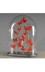 Red butterflies "Cymothoe Sangaris" (16) under oval glass globe