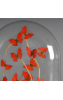 Red butterflies "Cymothoe Sangaris" (16) under oval glass globe