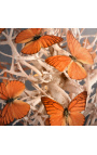 Mariposas naranjas "Appias Nero" bajo un globo de cristal cuadrado