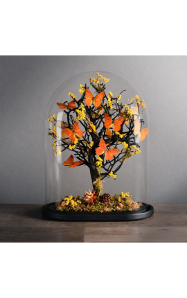 Orange butterflies &quot;Appias Nero&quot; in autumn colors under oval glass globe