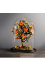 Papillons "Appias Nero" au couleurs d'automne sous globe en verre ovale