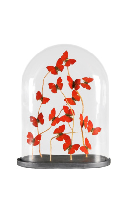 Mariposas rojas "Cymothoe Sangaris" (16) bajo globo de vidrio oval