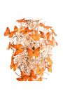 Orange butterflies "Appias Nero" under a square glass globe