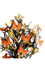 Mariposas naranjas "Appias Nero" en colores de otoño bajo globo de vidrio oval