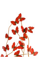 Červené motýle "Cymothoe Sangaris" (16) pod oválnym sklom sveta