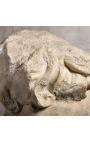 Liela skulptūra "Apollona galvas fragments" uz melna metāla paklāju