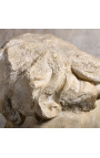 Μεγάλο γλυπτό "Apollo's Head Fragment" σε μαύρο μεταλλικό στήριγμα
