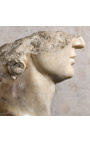 Grande escultura "fragment Head of Apollo" em suporte de metal preto