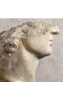 Große Skulptur "Apollos Kopffragment" auf schwarzem metallträger