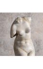 Skulpturskulptur "Sort Apollo's torso" på sort metal støtte