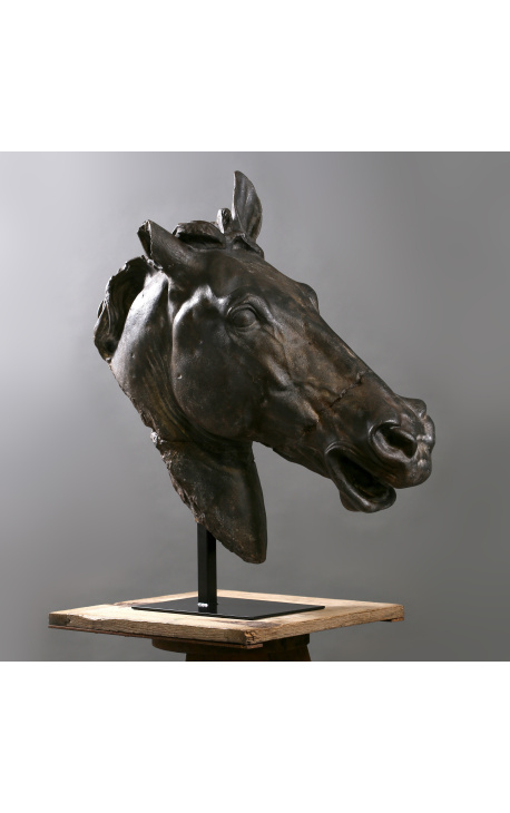 Liela skulptūra "Selenes zirga galva" uz melna metāla paklāju