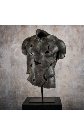 Large sculpture "Fragment of Discophore" on black metal support