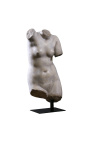 Gran escultura "Bust of Venus" en soporte de metal negro