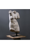 Large sculpture Bust of Venus on black metal support