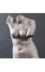 Grande sculpture "Buste de Vénus" sur support métallique noir
