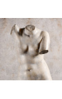 Grande sculpture "Buste de Vénus" sur support métallique noir