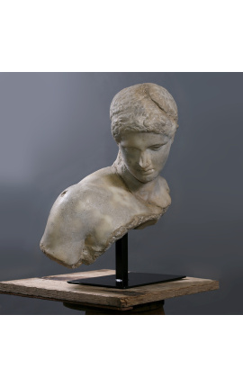 Large sculpture "Bust of Discophore" on black metal support