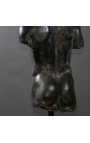 Grote Sculptuur "Fragment van Hermes" black metal ondersteuning